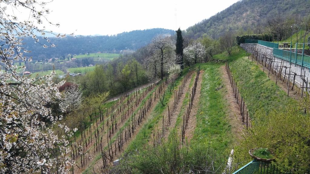 Bed and Breakfast Agriturismo Il Mirabile Trescore Balneario Exterior foto